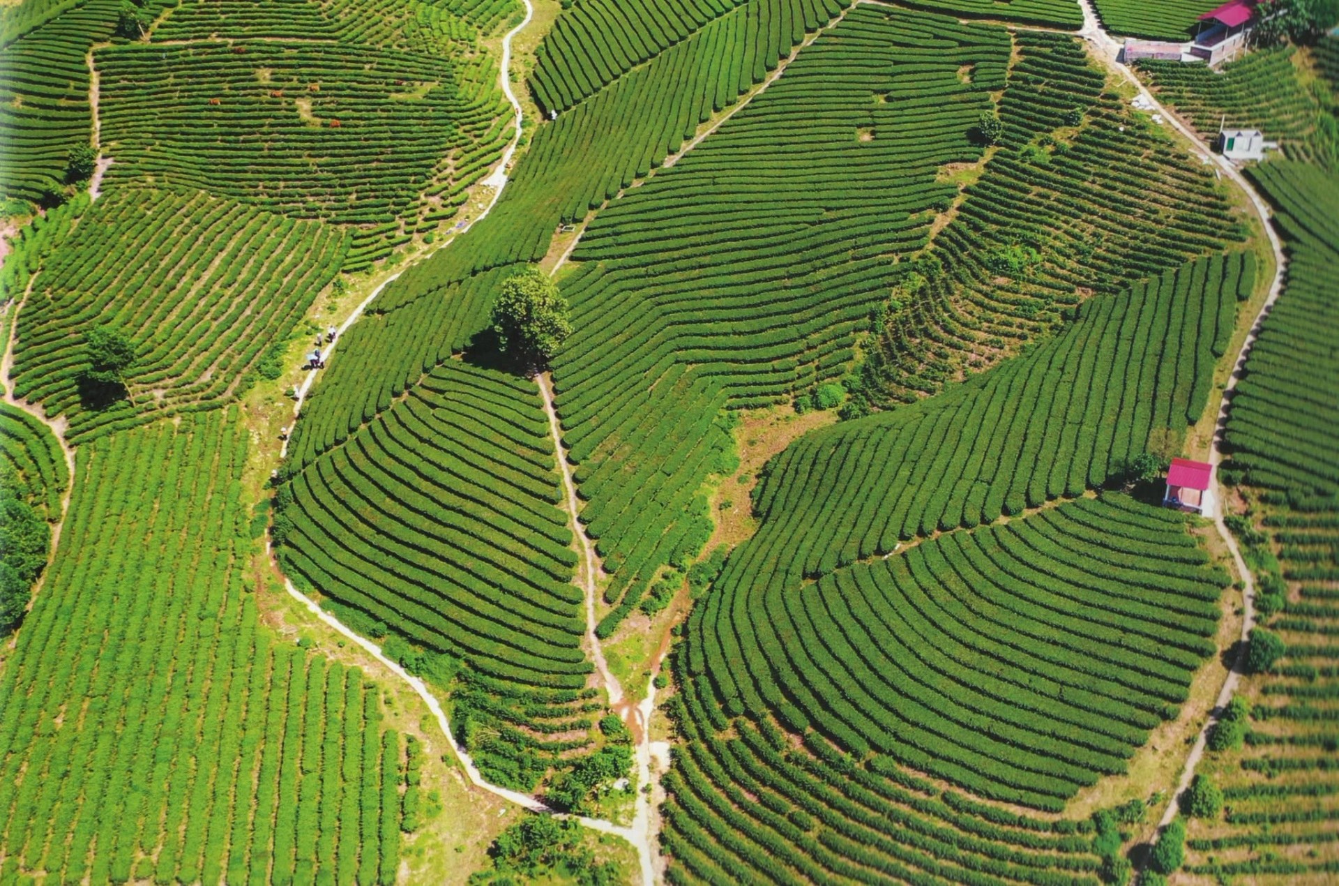 Chuyển đổi số gắn với xây dựng nông thôn mới ở Quảng Ninh Chuyển đổi số gắn với xây dựng nông thôn mới ở Quảng Ninh
