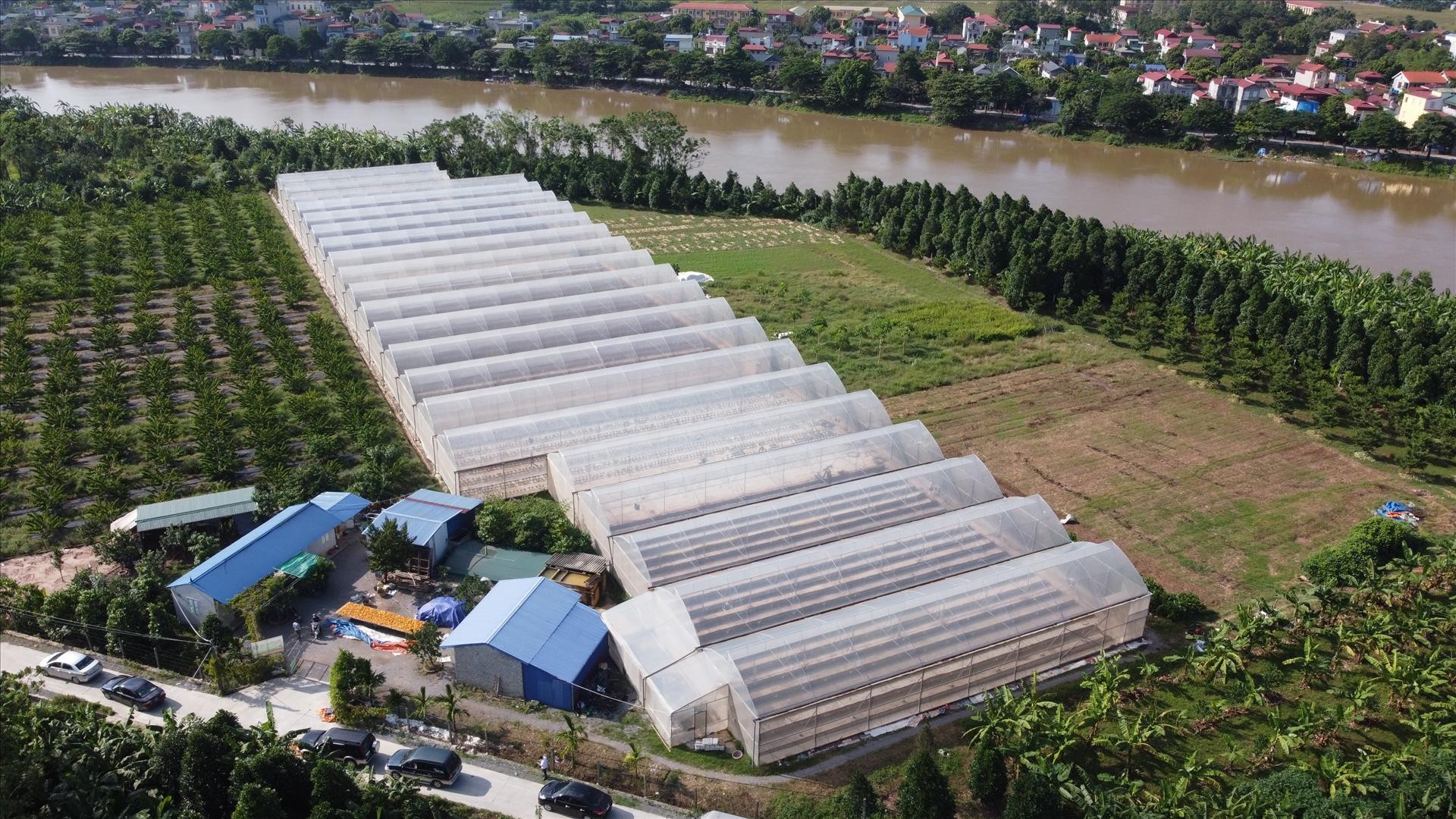 Hợp tác xã Hà Nội gắn sản phẩm với chuỗi giá trị, xây dựng thương hiệu và chứng nhận VietGAP, GlobalGAP, hữu cơ, OCOP