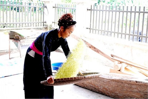 tuyen quang tu hat com truyen thong den hanh trinh danh thuc tiem nang du lich thuan hoa