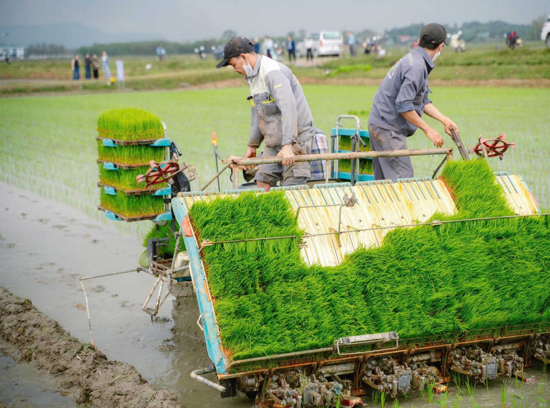 Xã Vĩnh Linh (Quảng Trị): Tập trung nguồn lực, đưa xã về đích Nông thôn mới vào năm 2026