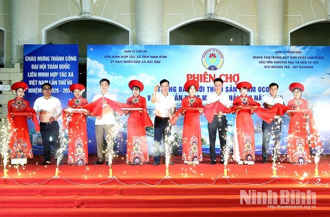 hai hau mo phien cho ocop