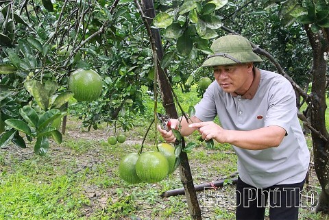 thuong long gan bao ton van hoa voi phat trien du lich