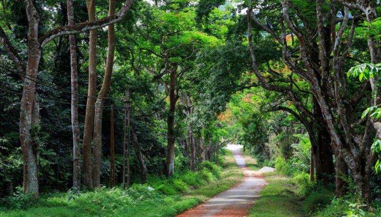 Phát triển du lịch Ninh Bình: Từ “phụng dưỡng thiên nhiên” đến kinh tế di sản