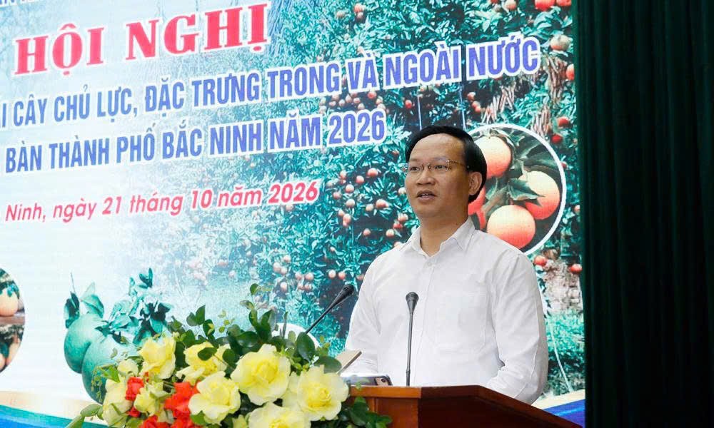 Ông Phạm Văn Thịnh, Phó Chủ tịch UBND thành phố Bắc Ninh, phát biểu kết luận hội nghị.