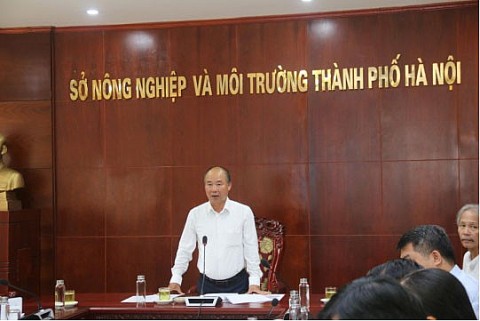ha noi chuan bi to chuc festival bao ton va phat trien lang nghe toan cau lan thu nhat nam 2026