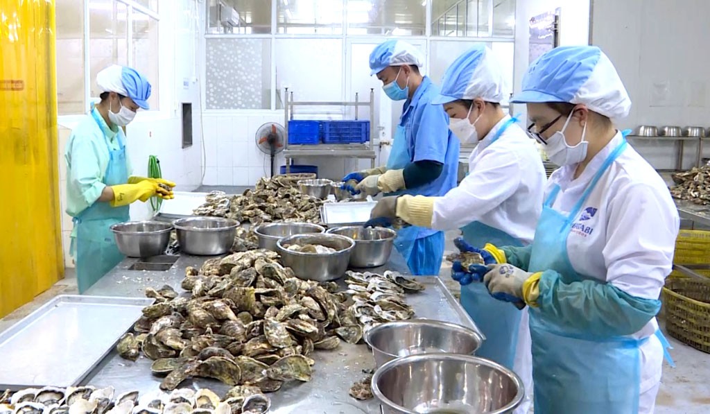 Khuyến công Quảng Ninh Đổi mới, xanh hóa và số hóa để phát triển bền vững