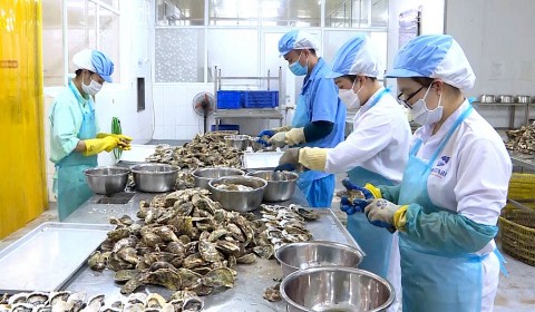khuyen cong quang ninh doi moi xanh hoa va so hoa de phat trien ben vung
