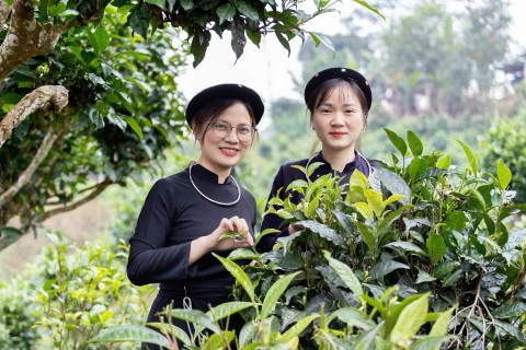 thai nguyen dong phuc danh thuc tiem nang vung che shan tuyet bang phuc