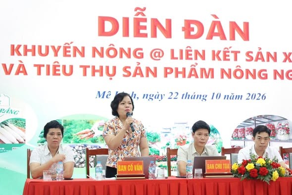Hà Nội: Tăng cường liên kết sản xuất, tiêu thụ sản phẩm nông nghiệp Hà Nội: Tăng cường liên kết sản xuất, tiêu thụ sản phẩm nông nghiệp