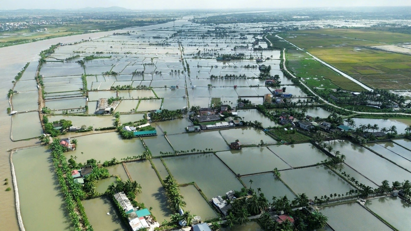Toàn cảnh đầm rươi xã Vĩnh Thuận