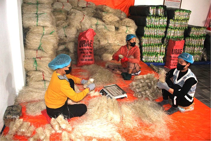 Sản phẩm miến đao Quy Mông đạt OCOP 4 sao. Ảnh: Chu Khôi