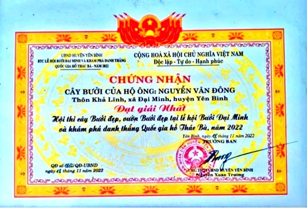 Cây bưởi cổ gia đình ông bà Đông Nga đạt giải Nhất ( đẹp nhất, cổ nhất, chất lượng ngon nhất) tại lễ hội bưởi cấp huyện năm 2022