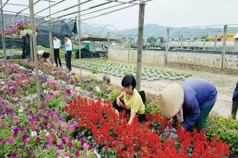 quang ninh phan dau it nhat 12 xa dat chuan xay dung ntm nam 2018