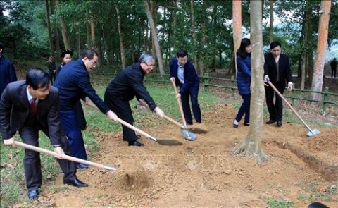 dong chi tran quoc vuong du le phat dong tet trong cay
