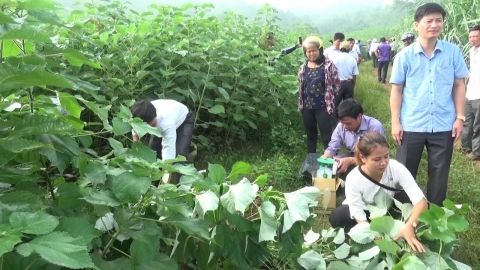cam thuy thanh hoa dua nghi quyet dai hoi dang bo vao cuoc song
