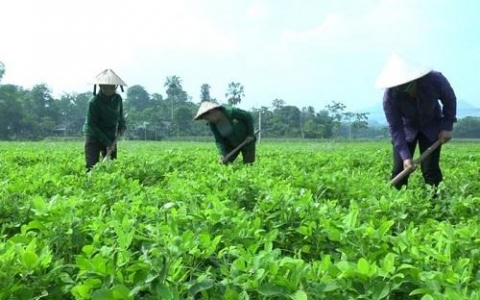 yen ninh phu luong thai nguyen doi thay tu chuong trinh xay dung nong thon moi