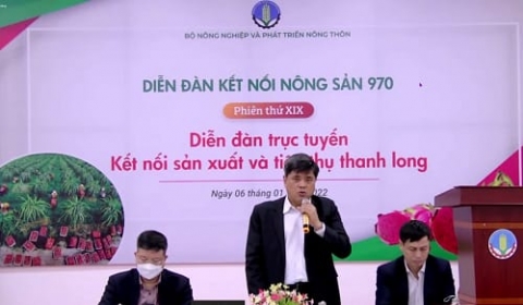 go kho cho 300000 tan thanh long the nao