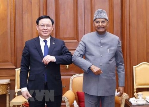 viet nam an do co nhieu tiem nang de phat trien quan he song phuong