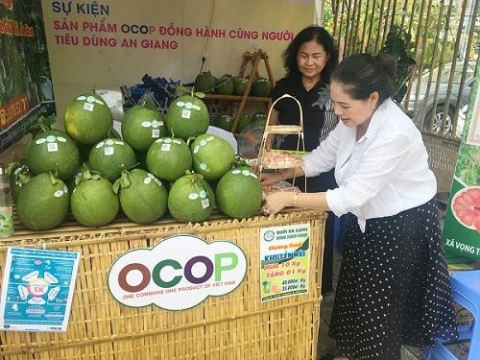 an giang trong buoi da xanh theo huong vietgap