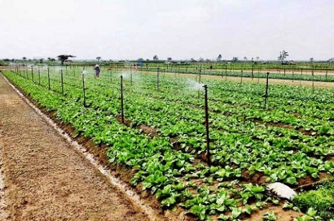 Ứng dụng công nghệ số: Đột phá trong phát triển kinh tế tập thể