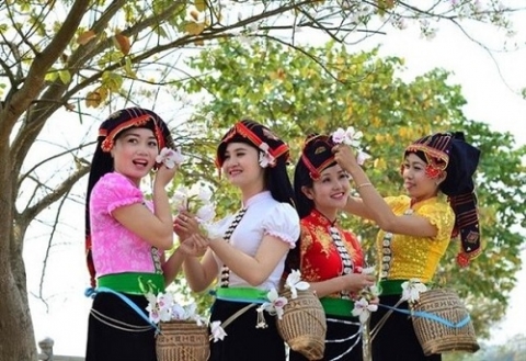 le hoi hoa ban 2023 dien ra tu ngay 103 voi nhieu hoat dong hap dan