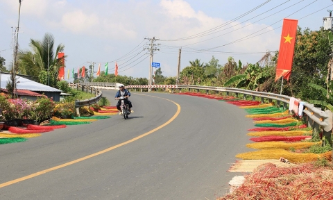 dong thap nu cuoi o lang chieu dinh yen