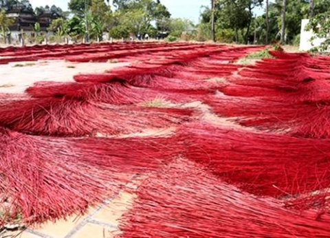 lang nghe chieu coi dinh yen vao xuan