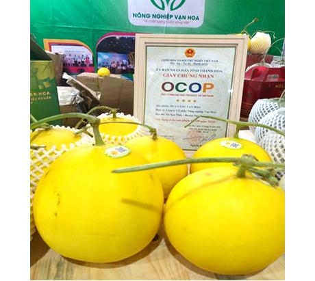 thanh hoa xay dung thanh cong thuong hieu dua vang van hoa