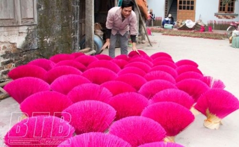 thai binh huong thom ngay tet
