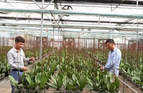 ha long quang ninh ay manh phat trien nong nghiep cong nghe cao