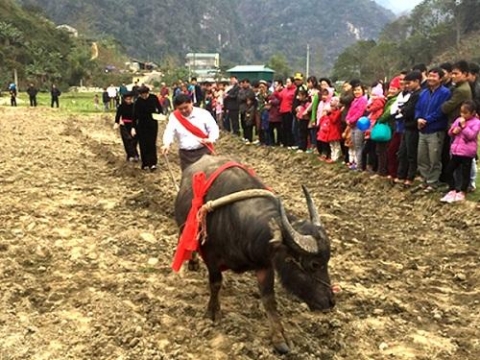 le hoi xuong dong net dep van hoa dac sac