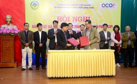 tuyen quang co hoi vang trong san xuat nong nghiep hang hoa