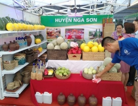 huyen nga son phat trien tieu thu cong nghiep giu vai tro quan trong trong phat trien kinh te xa hoi