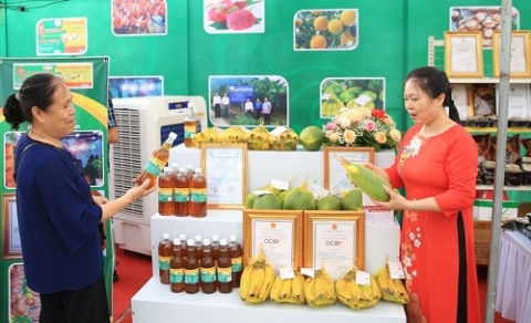 ha noi phat trien 5 9 mo hinh trung tam thiet ke sang tao gioi thieu quang ba va ban san pham ocop