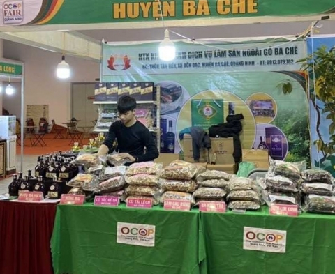 ha noi se co cac trung tam thiet ke sang tao quang ba san pham ocop