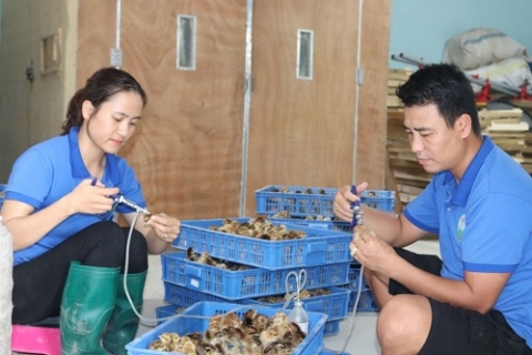 Hướng tới nền nông nghiệp bền vững