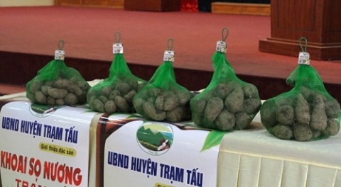 yen bai san pham ocop gan voi vung nguyen lieu