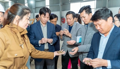 Quảng Bình: Tổ chức trình diễn kỹ thuật sản xuất viên gỗ nén năng lượng