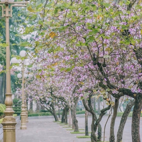 Thời tiết ngày 27/2: Bắc Bộ nắng đẹp, trời hanh khô
