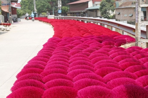 ruc ro tam huong quang phu cau