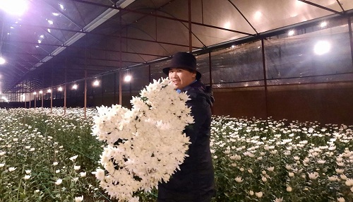 Lâm Đồng: Hiệu quả những mô hình khuyến nông