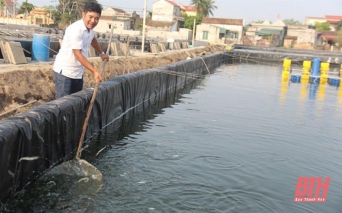 thanh hoa bo muc luong cao ve que nuoi tom sach