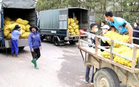 nong nghiep quang ninh go kho truoc anh huong dich benh covid 19