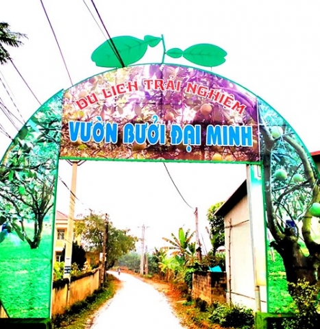 huyen yen binh yen bai buoi co dai minh san pham ocop duoc nhieu du khach tham quan trai nghiem