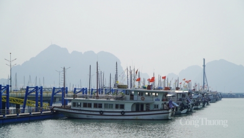 quang ninh tung buoc khoi phuc hoat dong du lich