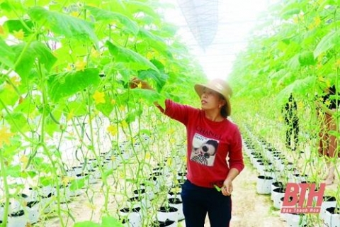 thanh hoa xac dinh 110 san pham uu the tao nguon cho chuong trinh ocop