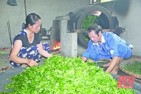 thanh hoa nhoc nhan nghe sao che