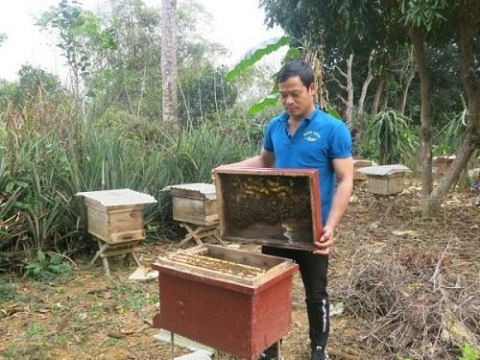 cao bang khoi nghiep thanh cong voi mo hinh nuoi ong lay mat