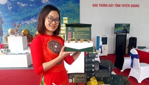 tuyen quang 3 san pham ocop cua tinh du tieu chuan phan hang 5 sao