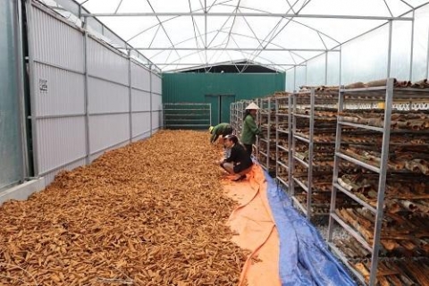 quang ninh san xuat nong nghiep huu co